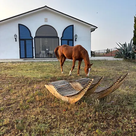 Il Pagliaccetto Vakantieboerderij Tragliatella
