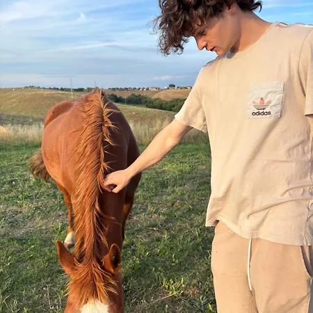 Vakantieboerderij Il Pagliaccetto *