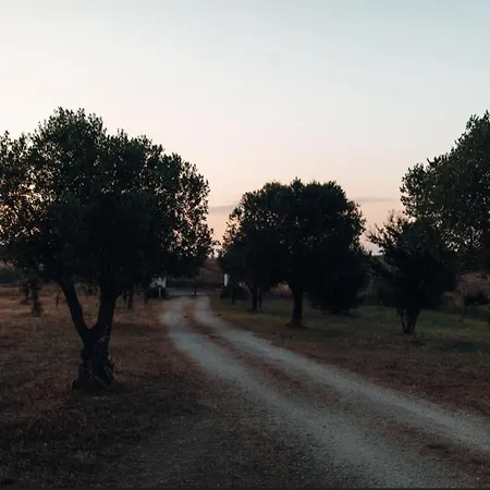 Il Pagliaccetto Κατάλυμα σε φάρμα Tragliatella