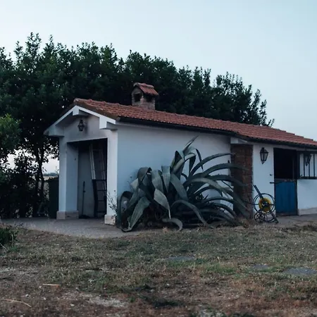 Il Pagliaccetto Tragliatella